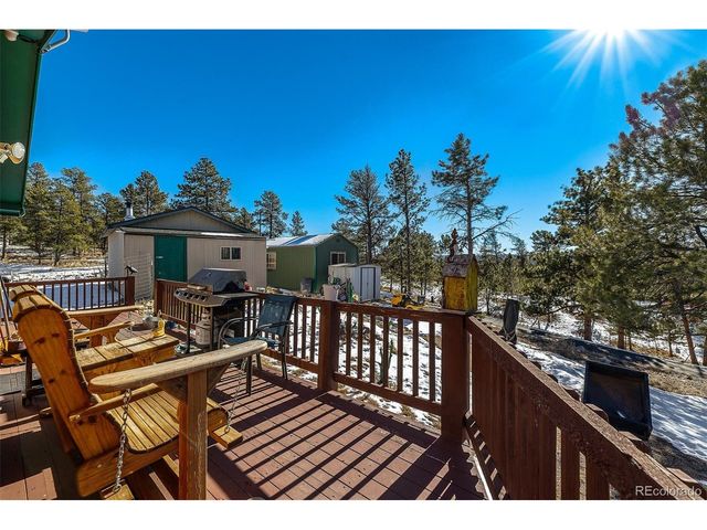201 Lake Dr, Florissant, CO 80816