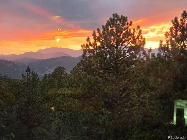 201 Lake Dr, Florissant, CO 80816