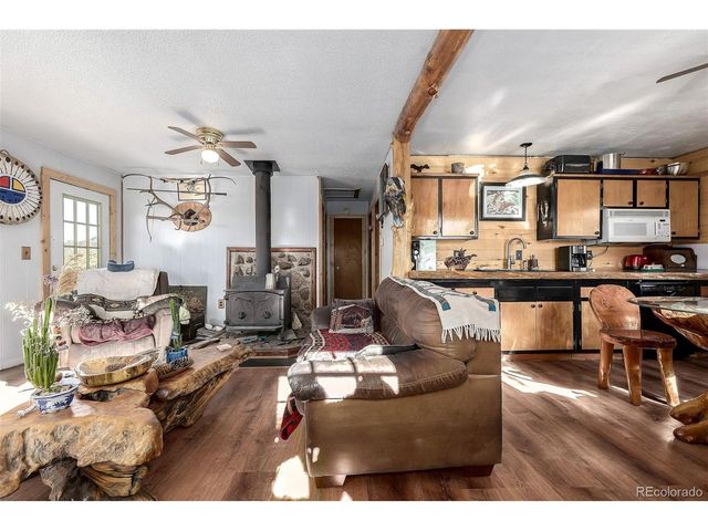 201 Lake Dr, Florissant, CO 80816