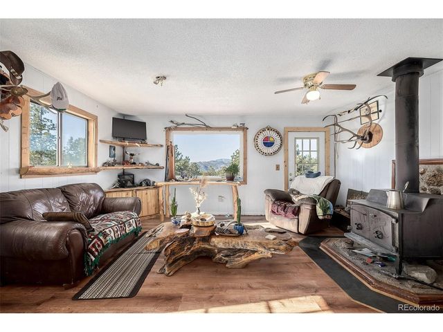 201 Lake Dr, Florissant, CO 80816