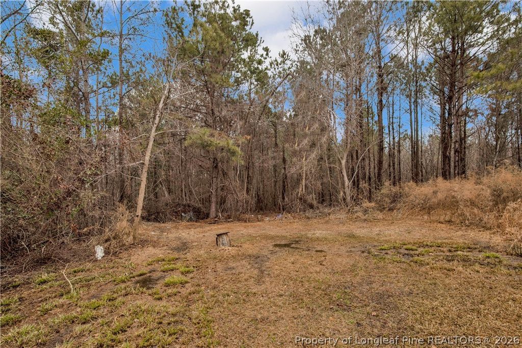 8521 Candlebrush Drive, Linden, NC 28356 — photo 17