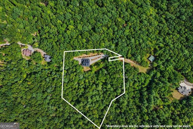 671 Stover Knob Trail, Cherry Log, GA 30522