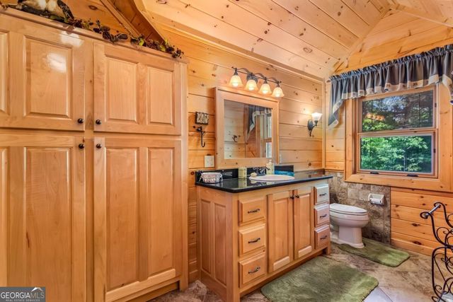 671 Stover Knob Trail, Cherry Log, GA 30522