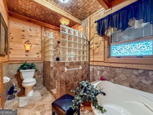 671 Stover Knob Trail, Cherry Log, GA 30522