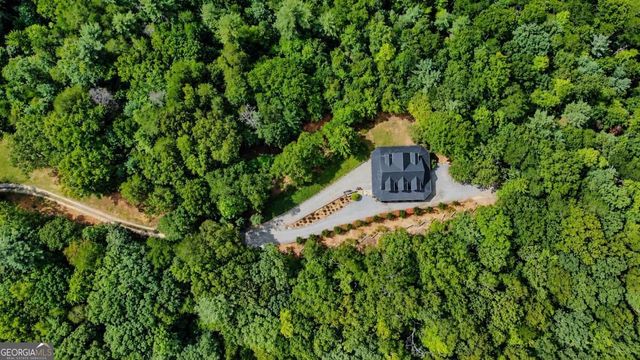 671 Stover Knob Trail, Cherry Log, GA 30522