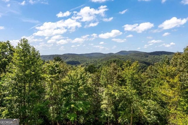 671 Stover Knob Trail, Cherry Log, GA 30522