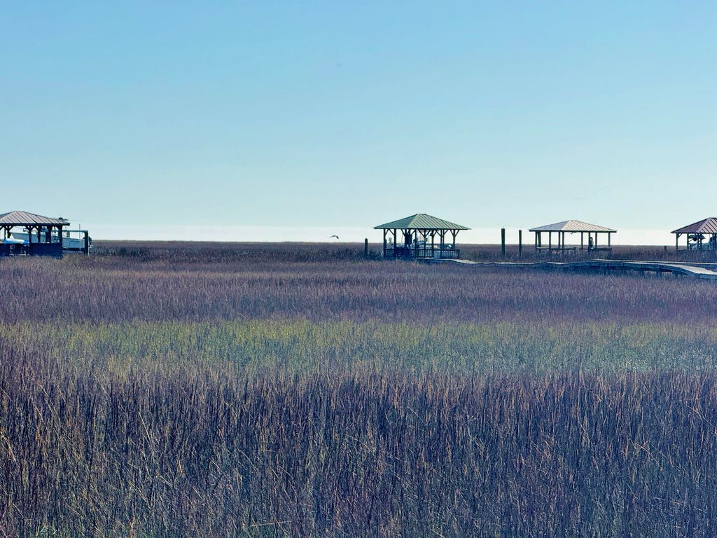 Image 3 of property listing at 0 Palmetto Road Docksite F, Edisto Island, SC 29438