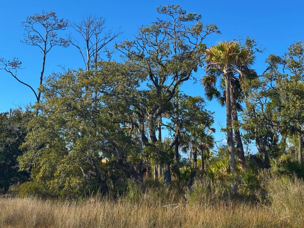 Image 4 of property listing at 0 Palmetto Road Docksite F, Edisto Island, SC 29438