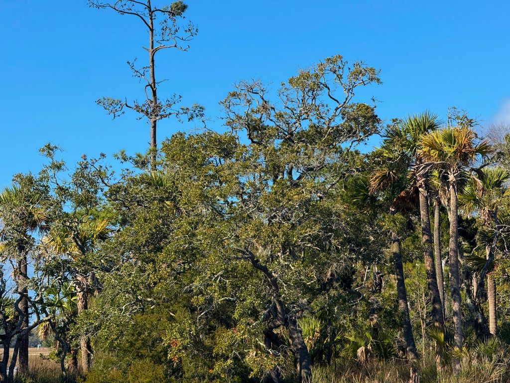 Image 5 of property listing at 0 Palmetto Road Docksite F, Edisto Island, SC 29438