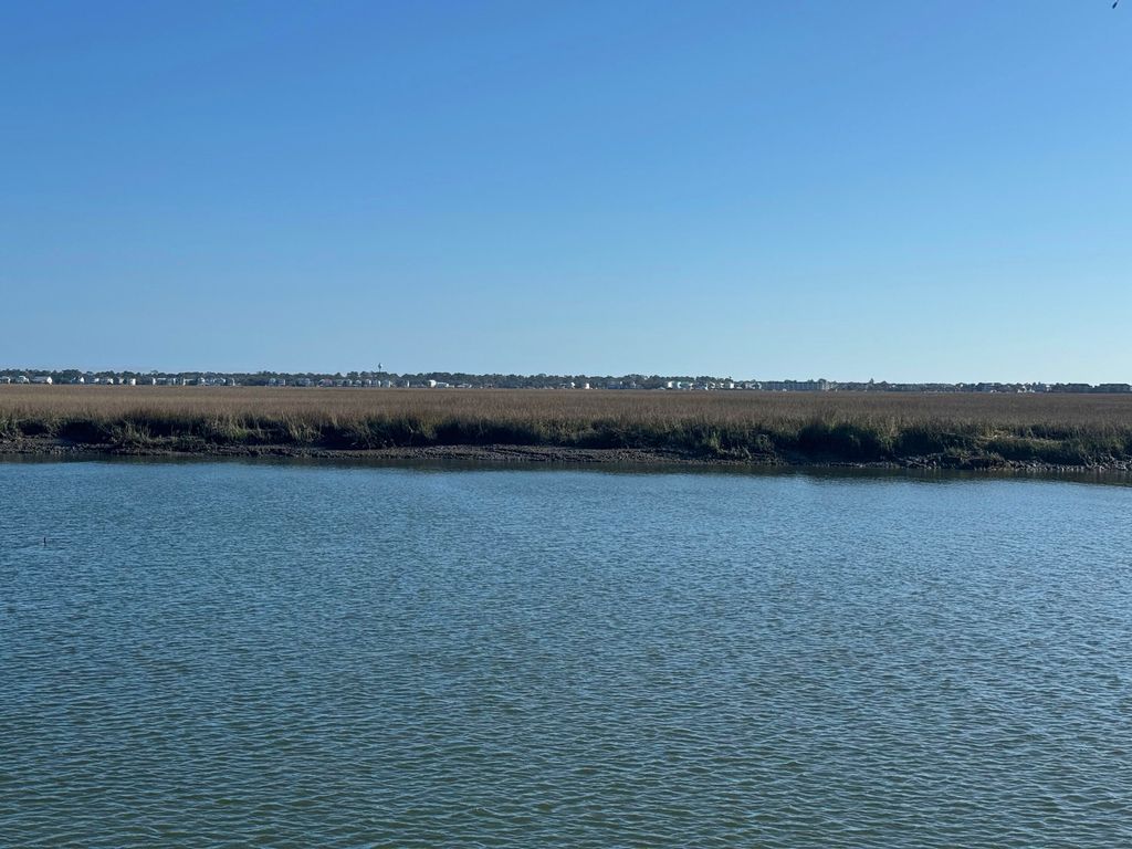 Image 7 of property listing at 0 Palmetto Road Docksite F, Edisto Island, SC 29438