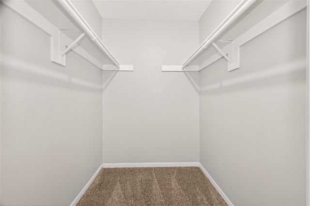 21318 Park Brook Drive, Katy, TX 77450