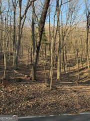 210 Windflower Drive, Big Canoe, GA 30143