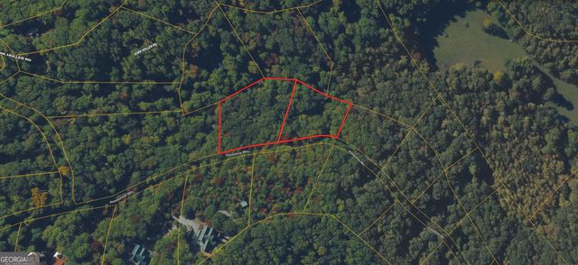 0 Picklesimer Mtn Trail, Morganton, GA 30560