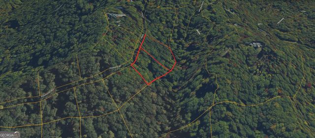 0 Picklesimer Mtn Trail, Morganton, GA 30560