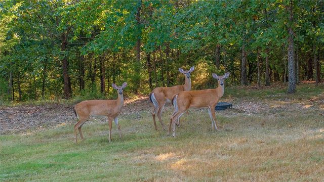 10744 Bluewater Passage, Rogers, AR 72756
