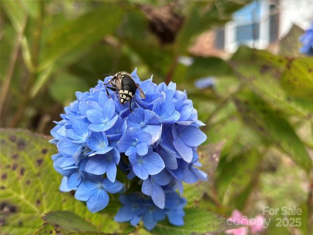 2238 Flatwood Road, Lenoir, NC 28645