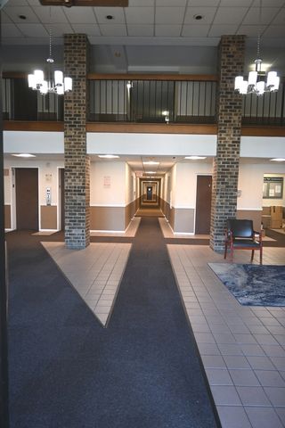 1463 Mercury Drive 217, Schaumburg, IL 60193