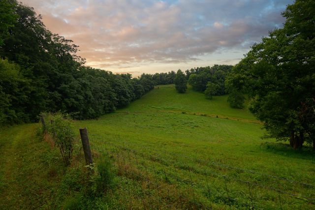 1425 Bartlett Hollow Rd, Petersburg, TN 37144