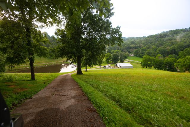 1425 Bartlett Hollow Rd, Petersburg, TN 37144