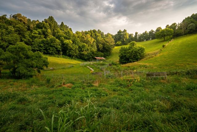 1425 Bartlett Hollow Rd, Petersburg, TN 37144