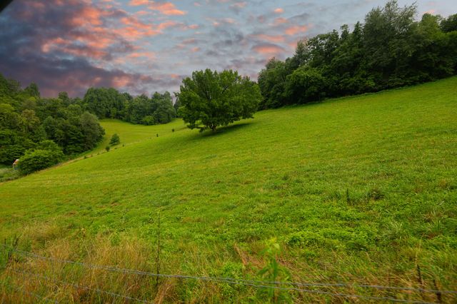 1425 Bartlett Hollow Rd, Petersburg, TN 37144