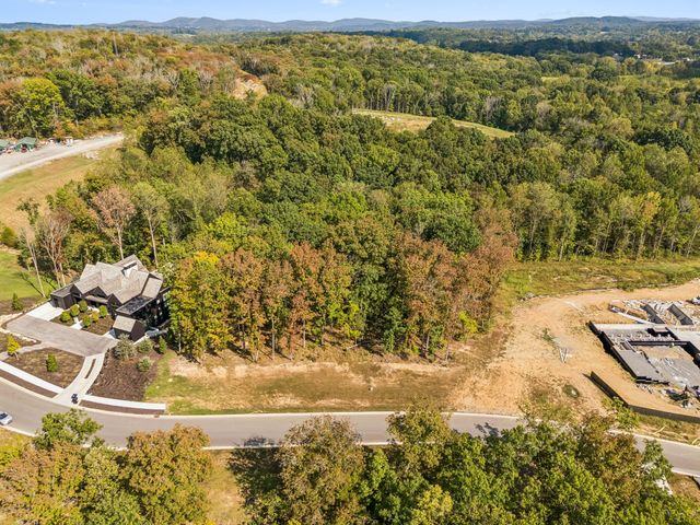 9211 Troubadour Dr, College Grove, TN 37046