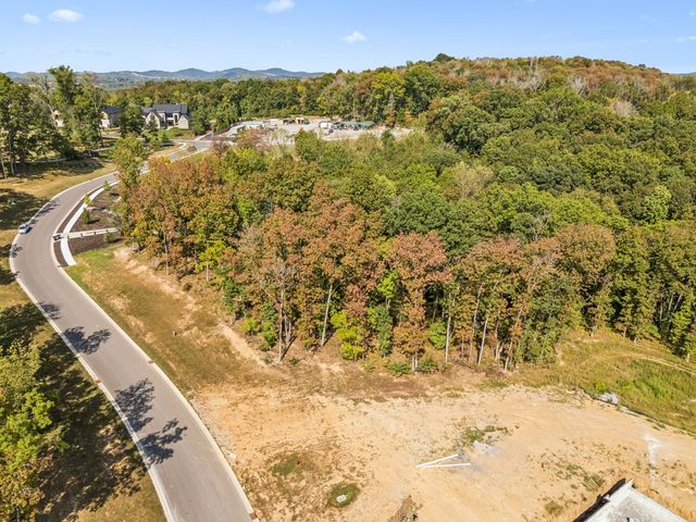 9211 Troubadour Dr, College Grove, TN 37046