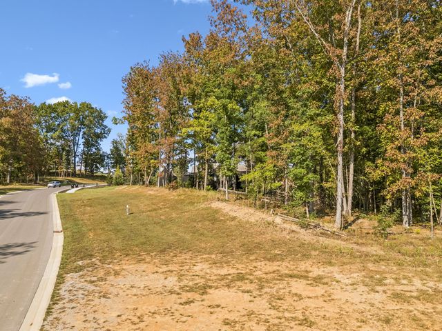 9211 Troubadour Dr, College Grove, TN 37046