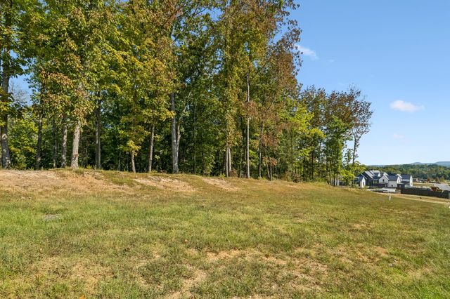 9211 Troubadour Dr, College Grove, TN 37046