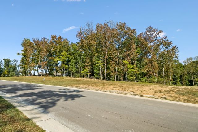9211 Troubadour Dr, College Grove, TN 37046