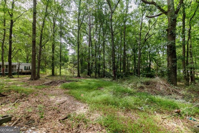 1541 Pete Dickens Road, Bogart, GA 30622