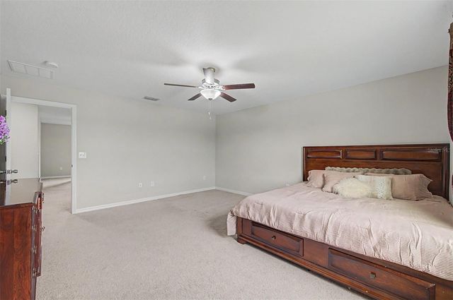 4710 WILD SENNA BOULEVARD, Tampa, FL 33619