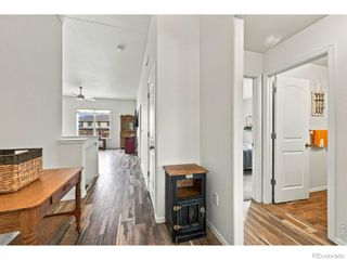 909 Ponderosa Drive, Severance, CO 80550