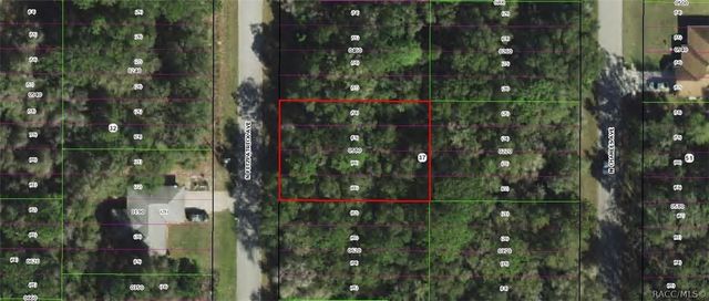 305 N Fitzpatrick Avenue, Inverness, FL 34453