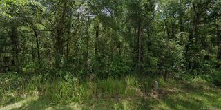 305 N Fitzpatrick Avenue, Inverness, FL 34453