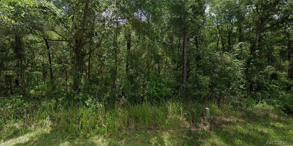 305 N Fitzpatrick Avenue, Inverness, FL 34453