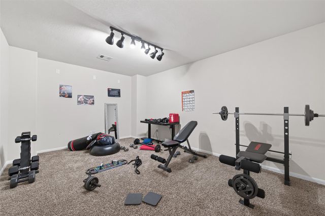 2343 Bright Sunrise Trail, Fresno, TX 77545