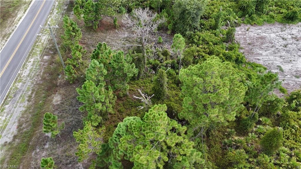 630 Eisenhower BLVD, LEHIGH ACRES, FL 33974 — photo 3
