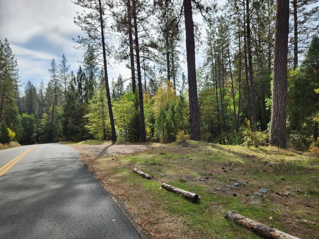 13786 Moonshine Rd, Camptonville, CA 95922