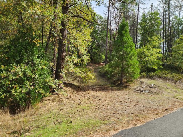 13786 Moonshine Rd, Camptonville, CA 95922