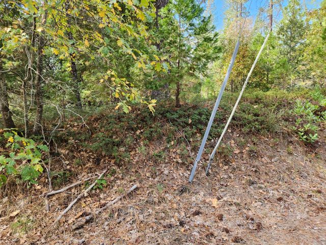 13786 Moonshine Rd, Camptonville, CA 95922