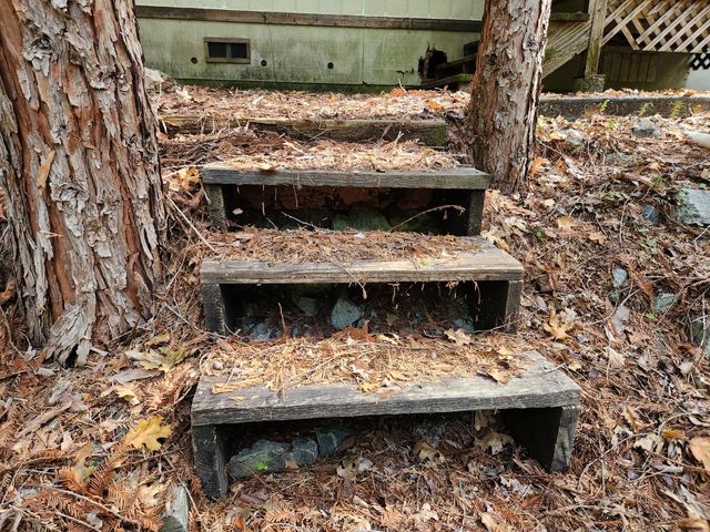 13786 Moonshine Rd, Camptonville, CA 95922