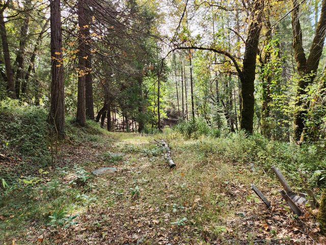 13786 Moonshine Rd, Camptonville, CA 95922