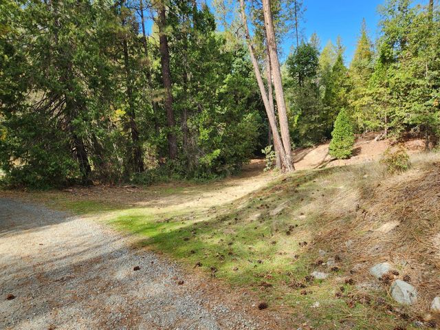 13786 Moonshine Rd, Camptonville, CA 95922