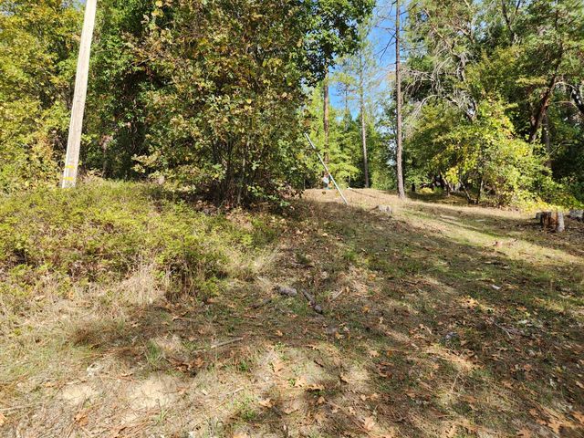 13786 Moonshine Rd, Camptonville, CA 95922