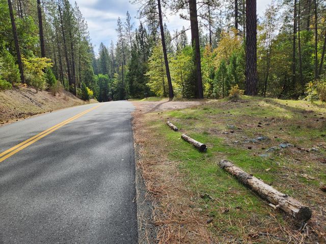 13786 Moonshine Rd, Camptonville, CA 95922