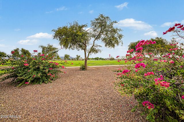 12514 W WINSLOW Avenue, Avondale, AZ 85323