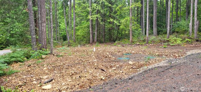 0 N Mt Jupiter Drive, Hoodsport, WA 98548