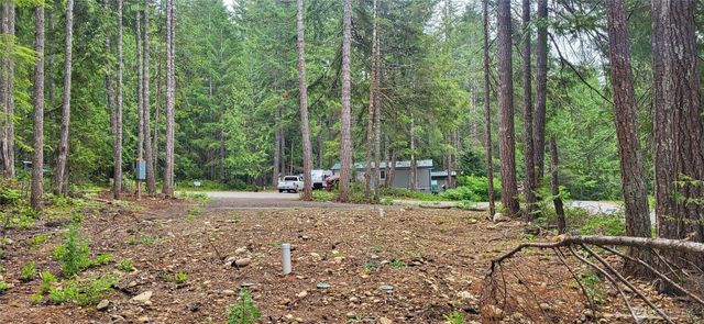 0 N Mt Jupiter Drive, Hoodsport, WA 98548