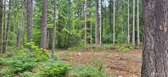 0 N Mt Jupiter Drive, Hoodsport, WA 98548